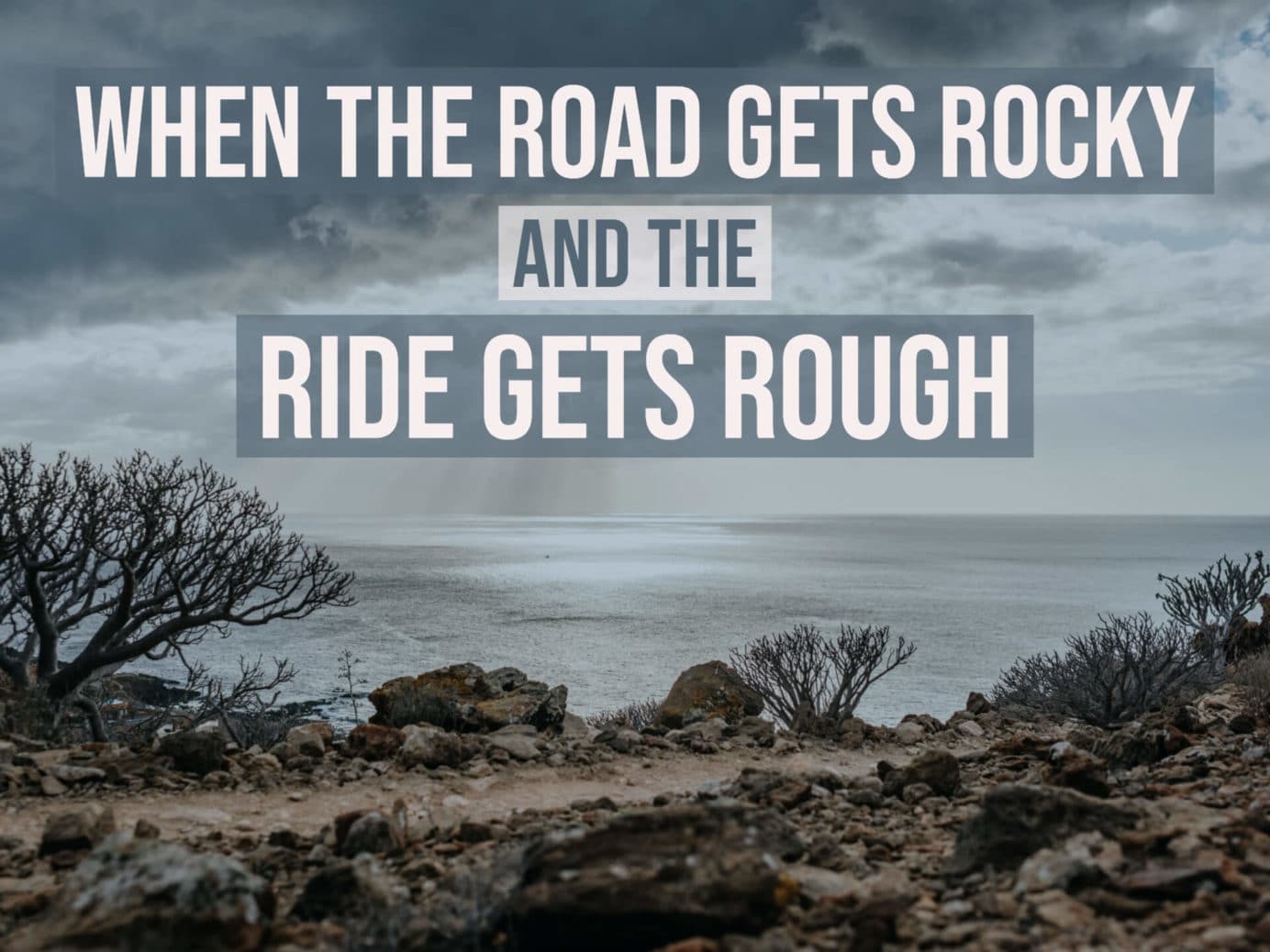 Edy Cozort - When The Road Gets Rocky and the Ride Gets Rough
