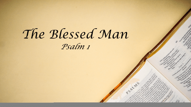 Featured image for “Psalm 1 – The Blessed Man”