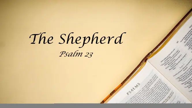 Featured image for “Psalm 23 – The Shepherd”