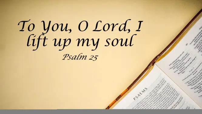 Featured image for “Psalm 25 – To You, O Lord, I Lift Up My Soul”