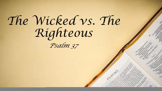 Featured image for “Psalm 37 – The Wicked vs. The Righteous”